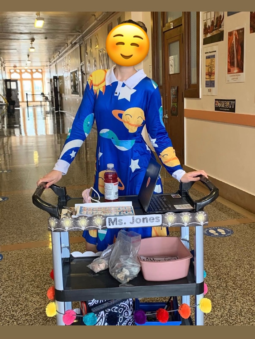 Ms. Frizzle dress costume